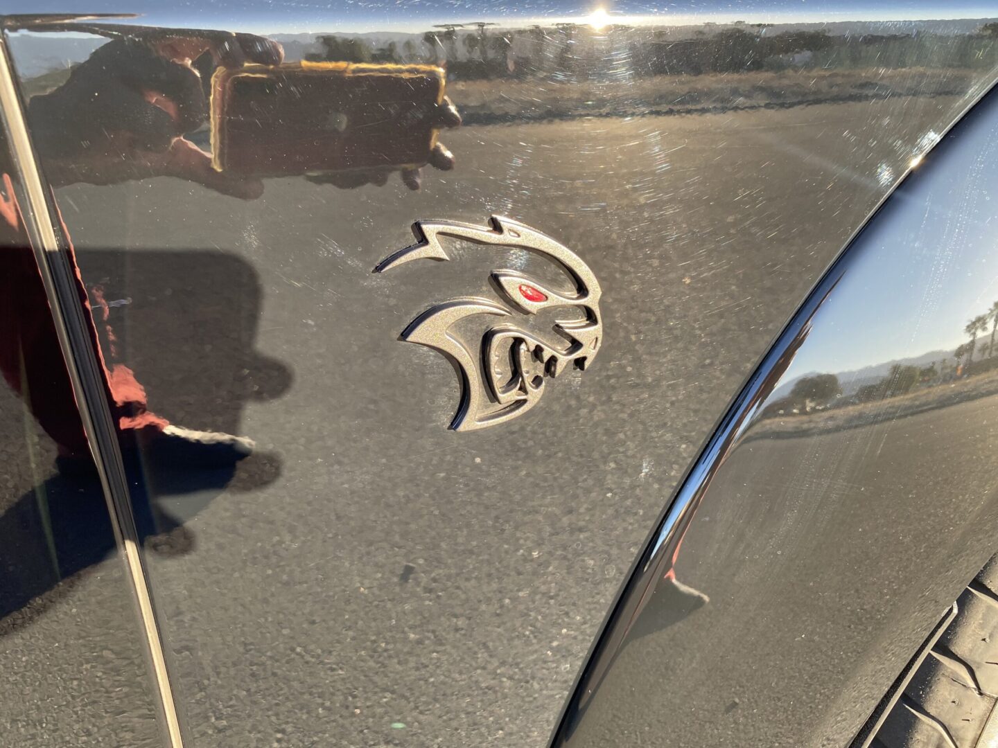 Car with a cat emblem detail.
