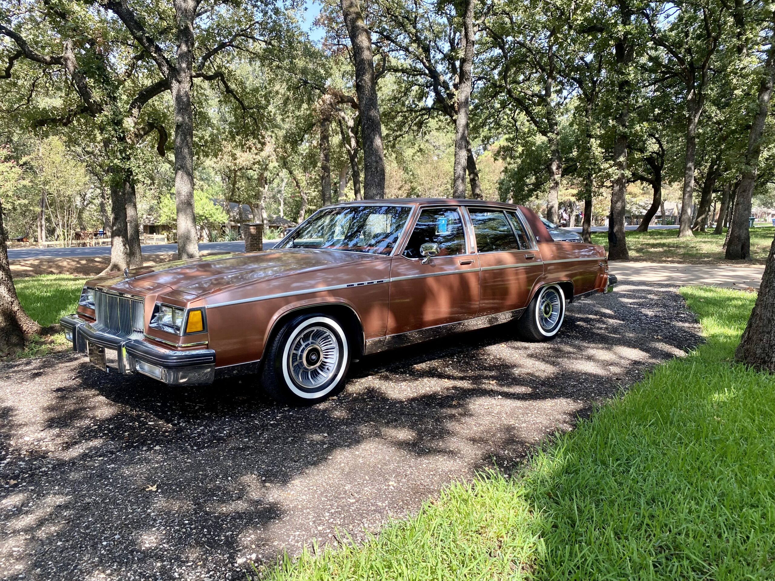 Classic brown car parked among trees.